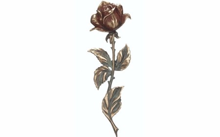 Rose - patineret