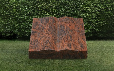 Book Poleret - MR